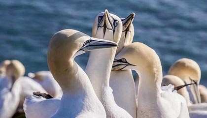 世界杯手机观看软件下载-乒超女团山东胜深圳赢榜首之争 王曼昱陈幸同建功